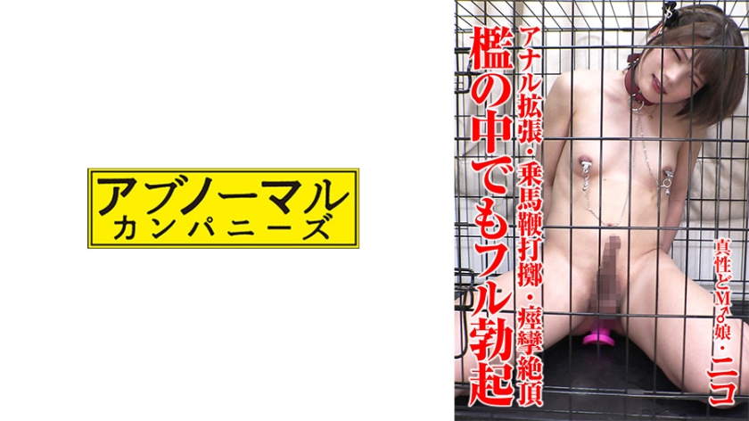 481SACZ-431-니코니코